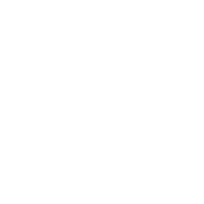 Ribbon Icon